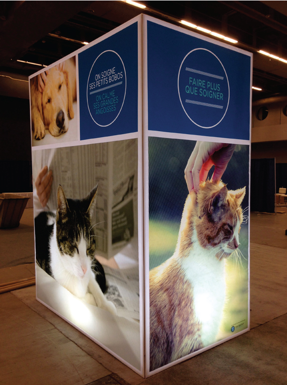 GROS T-CUBE 8'x5'x10' avec toile Lightex rétro-éclairée avec lumière au plancher.GlobalVet_2