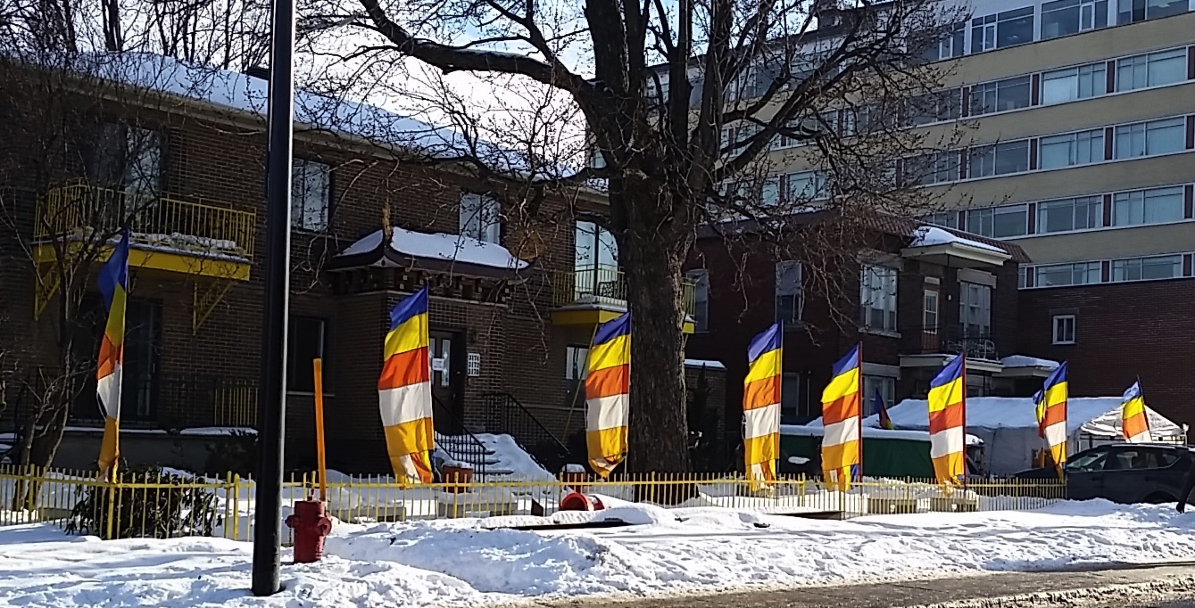 Drapeau Square