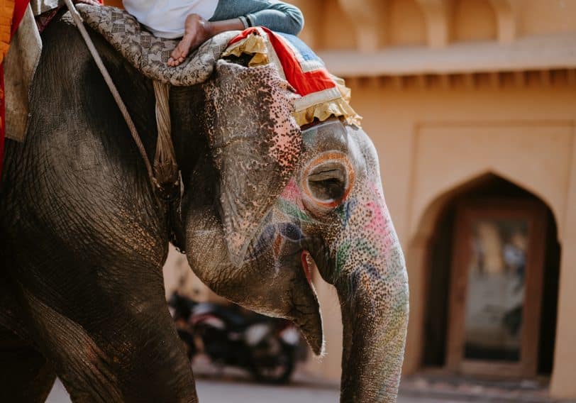 L’impression sur tissu ici et ailleurs – L’Inde