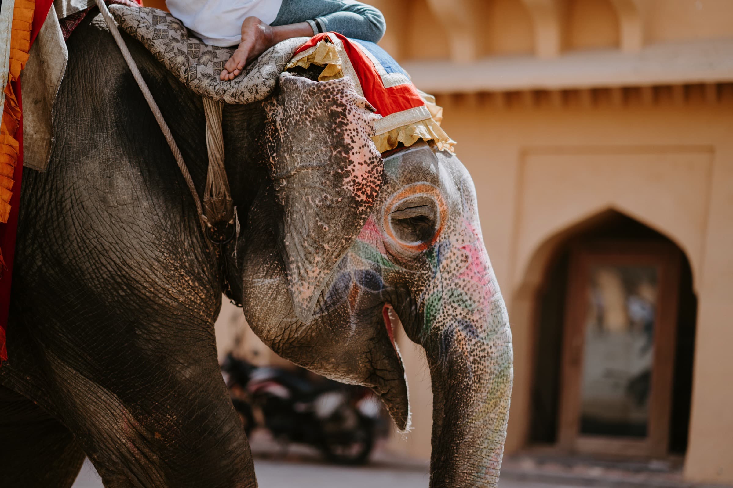 L’impression sur tissu ici et ailleurs – L’Inde