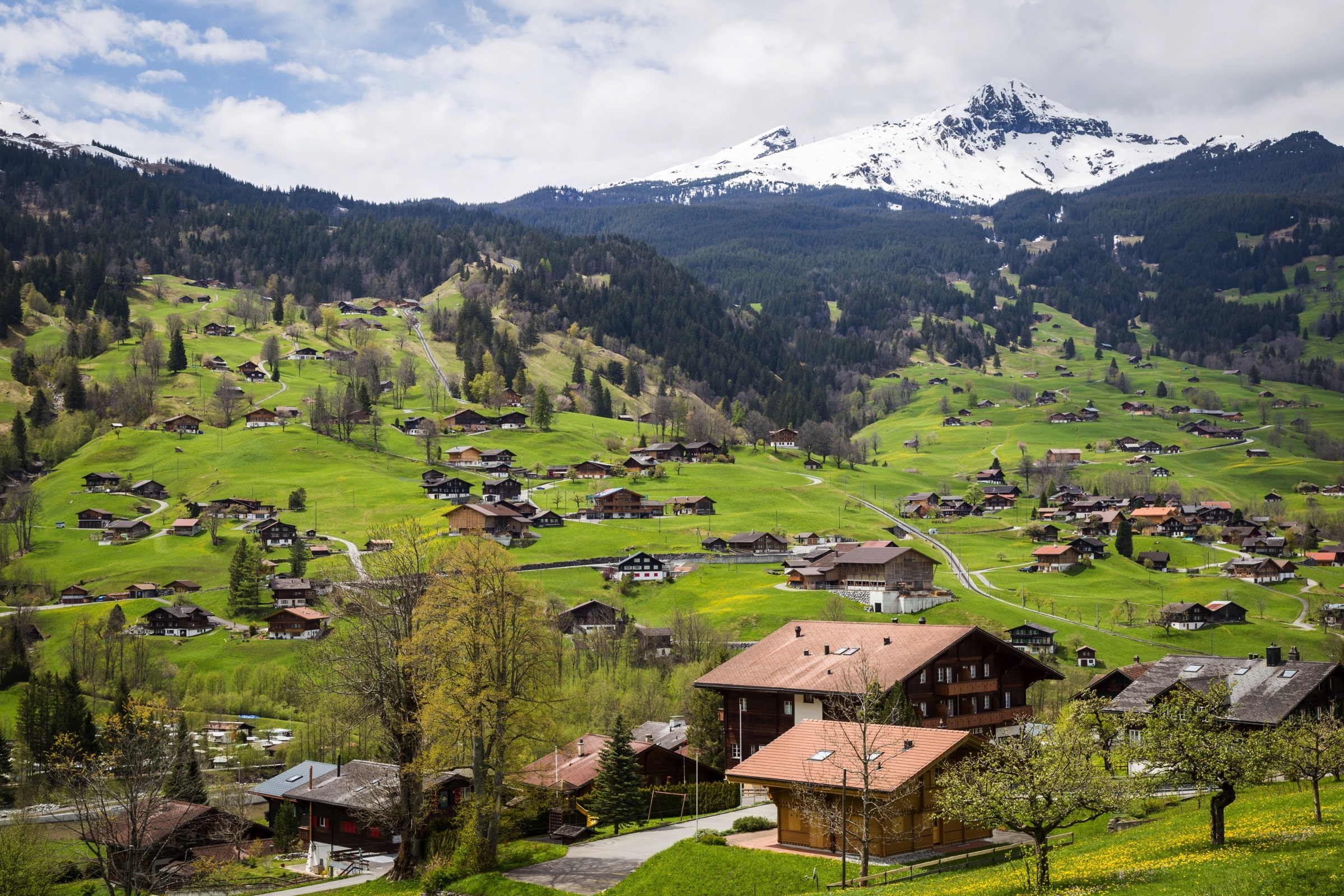 L’impression sur tissu ici et ailleurs – La Suisse